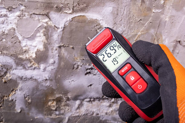Best Mold Testing  in Spring Glen, UT