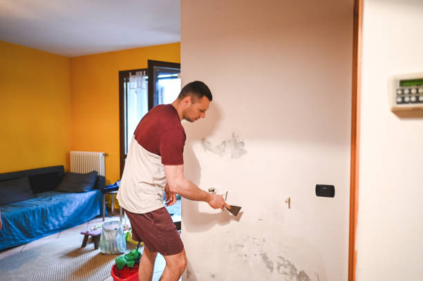 Trusted Spring Glen, UT Mold Removal Experts